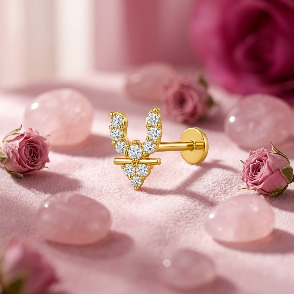 Angel Wings Nose Ring - packaging and gift box